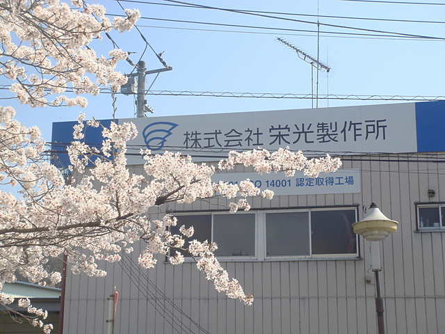 会社の看板と桜をパシャ！